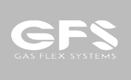 GFS - Patasana Bilişim Teknolojileri